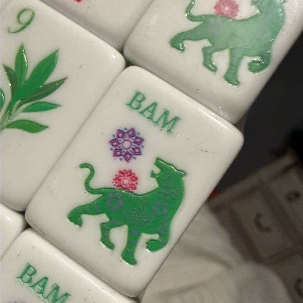 Colorful Mahjong Tiles Set - Picture 9 of 11